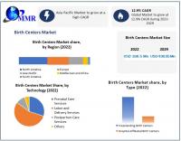 Birth Centers Market Expected to Reach USD 436.05 Million by 2029 at a CAGR of 12.9 percent