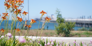 مجموعة أوتيكو (OTEKO) تصدر ملخص الربع الثالث عن حالة البيئة البحرية