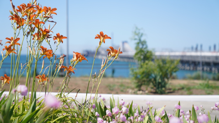 مجموعة أوتيكو (OTEKO) تصدر ملخص الربع الثالث عن حالة البيئة البحرية