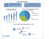 Pentaerythritol Market: Global Industry Analysis and Forecast (2024-2030)