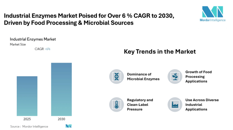 Industrial Enzymes Market Poised for Over 6 % CAGR to 2030, North America Largest, Asia-Pacific Fastest Growing, Driven by Food Processing & Microbial Sources