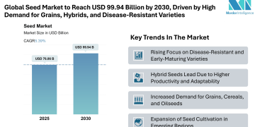 Seed Market Size to Reach USD 99.94 Billion by 2030, Says Mordor Intelligence’s Research