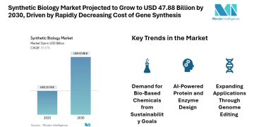 Synthetic Biology Market Projected to Grow to USD 47.88 Billion by 2030, Driven by Rapidly Decreasing Cost of Gene Synthesis