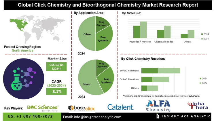 Click Chemistry and Bioorthogonal Chemistry Market Opportunities in Drug Synthesis Diagnostics and Therapeutics