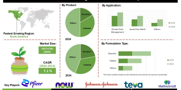 Plant Derived Analgesics Market Outlook Highlighting Rising Consumer Preference for Herbal Medicines