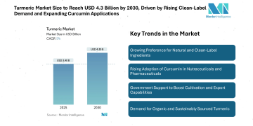 Turmeric Market Size to Reach USD 4.3 Billion by 2030 Driven by Rising Clean-Label Demand and Expanding Curcumin Applications